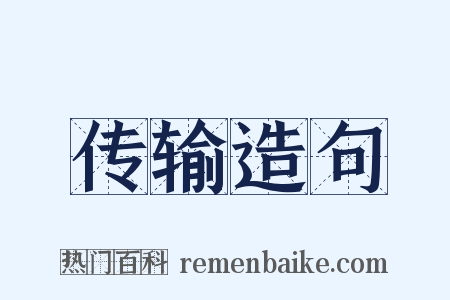 传输造句是什么意思的图片